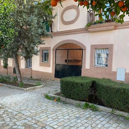 Sevilla. Gerena Casa Rural Para Familia O Profesionales 외부 사진