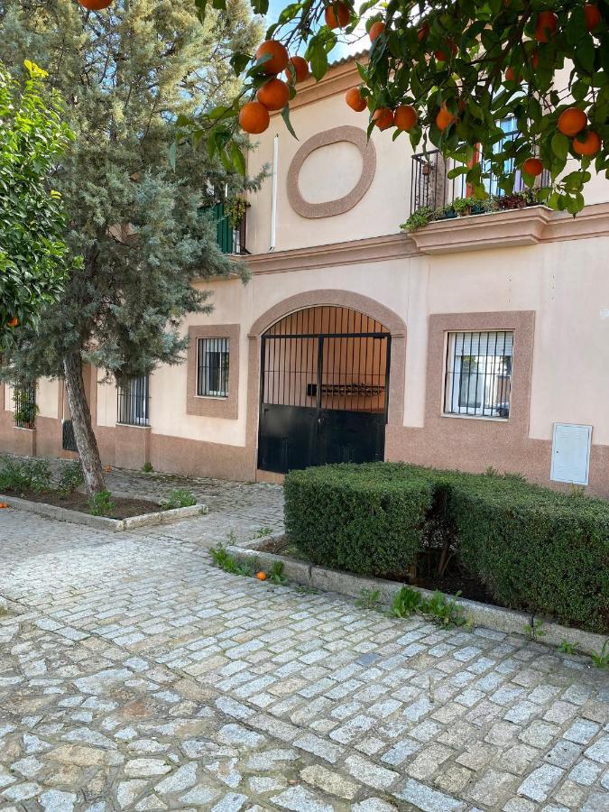Sevilla. Gerena Casa Rural Para Familia O Profesionales 외부 사진