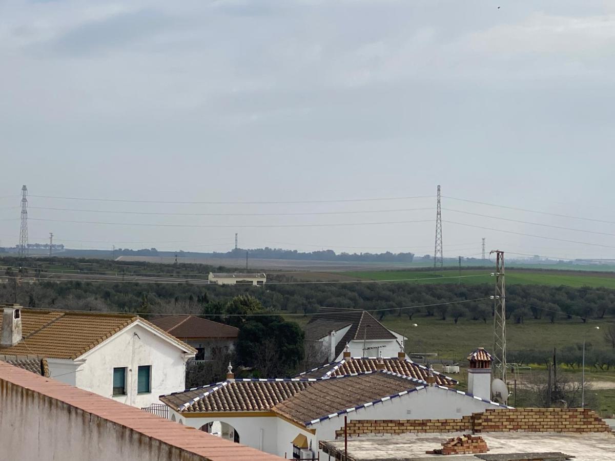 Sevilla. Gerena Casa Rural Para Familia O Profesionales 외부 사진